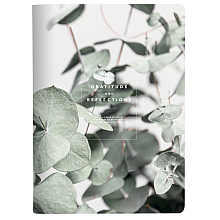Тетрадь "Botanica эвкалипт", A4, 40 листов, клетка, зеленый