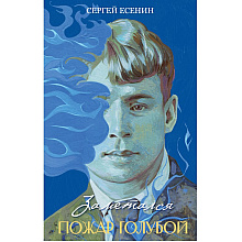 Книга "Заметался пожар голубой", Сергей Есенин