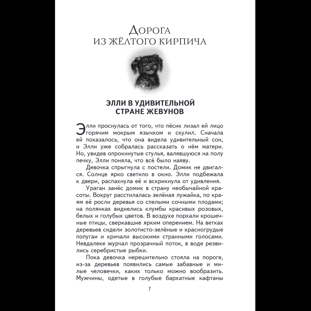 Книга "Книги для внеклассного чтения. Волшебник Изумрудного города", Александр Волков - 14