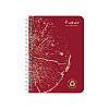 Блокнот Clairefontaine "Forever Premium", А6, 60 листов, клетка, ассорти - 3