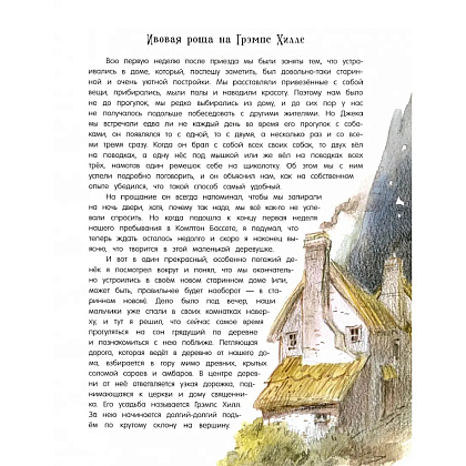Книга "Продавец троллей"/Бент Якобсен, илл. Вадим Челак - 4