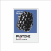 Блокнот «Color of Belarus. Pantone Azhany nyama», А5, 128 листов, в точку, белый, синий - 2