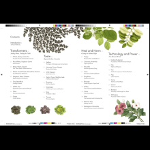 Книга на английском языке "Remarkable plants", Helen Bynum, William Bynum