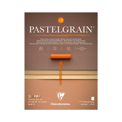 Блок бумаги для пастели "PastelGrain" 4 оттенка, 30х40см, 360 г, 12 листов, №2