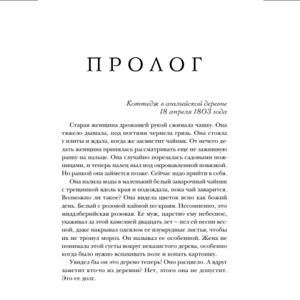 Книга "Последняя камелия", Сара Джио - 6