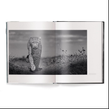 Книга на английском языке "Beusker. Look into my Eyes" HB, Lars Beusker