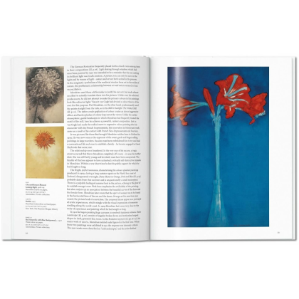 Книга на английском языке "Basic Art. Mondrian"  - 3