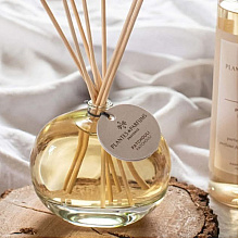 Диффузор ароматический PLANTES&PARFUMS "Patchouli", 100 мл 