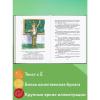 Книга "Книги для внеклассного чтения. Приключения Электроника", Евгений Велтистов - 4