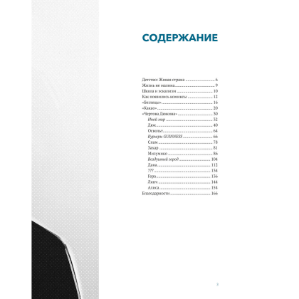 Книга "MadnessMalina. Артбук. Между моими мирами", MadnessMalina - 4
