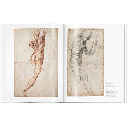 Книга на английском языке "Basic Art, Michelangelo" - 4