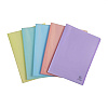 Папка с файлами "Chromaline Pastel", 30 карманов, ассорти - 4