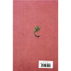 Книга на английском языке "Mansfield Park", Jane Austen - 2