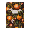 Блокнот "Flora. Paradise. Oranges", A4, 80 листов, клетка, оранжевый, зеленый - 2