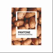 Футболка оверсайз «Pantone 2025» унисекс, белый, M-L 