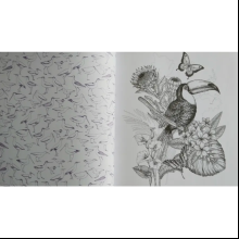 Раскраска на английском языке "Colouring Book. Beautiful Birds"