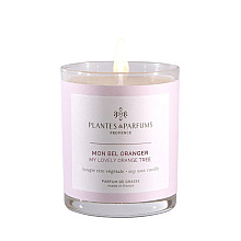 Свеча ароматическая PLANTS&PARFUMS "My Lovely Orange Tree", 180 гр., подарочная упаковка