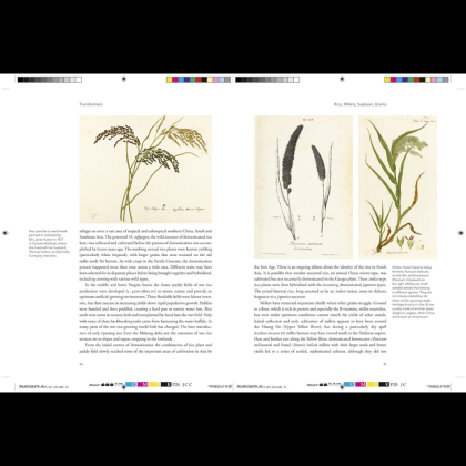 Книга на английском языке "Remarkable plants", Helen Bynum, William Bynum - 5