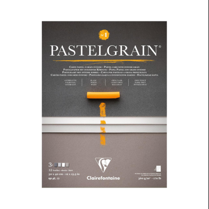 Блок бумаги для пастели "PastelGrain" 4 оттенка, 30х40см, 360 г, 12 листов, №1