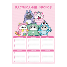Расписание уроков "Котята в кигуруми", А4, розовый, белый