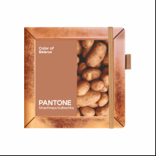 Скетчбук "Sketchmarker. Color of Belarus. Pantone Smachnaya bulbachka", 12х12 см, 140 г/м2, 80 листов, капучино