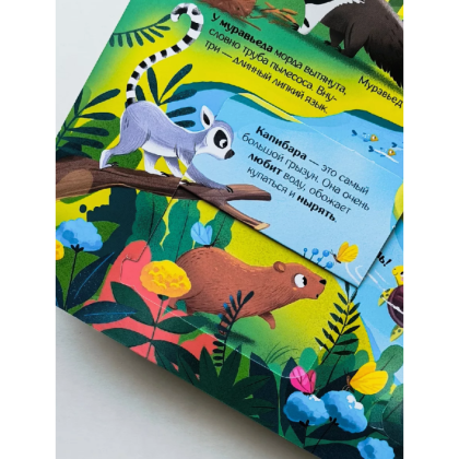 Книга "Книжка с окошками. Мир животных" - 10