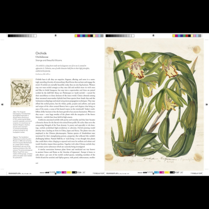 Книга на английском языке "Remarkable plants", Helen Bynum, William Bynum - 4