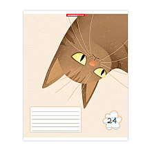 Тетрадь "Коты", А5, 24 листа, линейка, ассорти