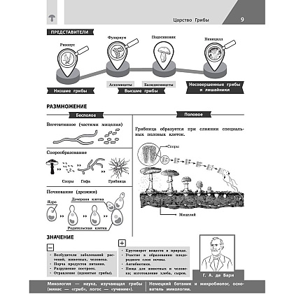 Книга "Биология в инфографике", Оксана Мазур - 8
