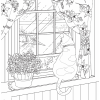 Книга "Цветочный сон котика Соры", Нацуки - 6