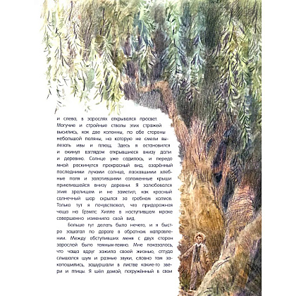 Книга "Продавец троллей"/Бент Якобсен, илл. Вадим Челак - 6