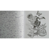 Раскраска на английском языке "Colouring Book. Beautiful Birds" - 2