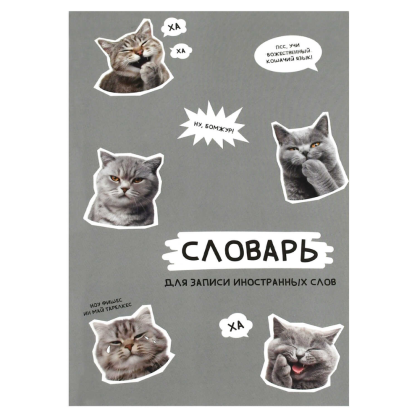 Тетрадь для записи иностранных слов "Стикеры с котами", А5, 24 листа, серый
