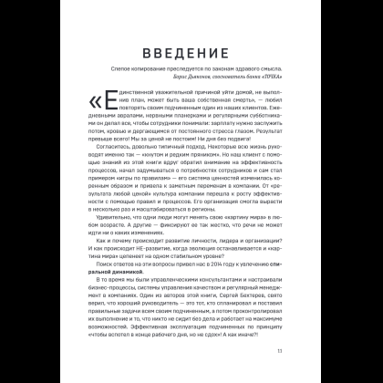 Книга "Спиральная динамика для бизнеса. Как создать сильную и быструю компанию", Сергей Бехтерев, Виктория Бехтерева - 16