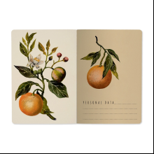 Тетрадь "Flora. Paradise. Oranges", A5, 40 листов, линейка, зеленый, оранжевый