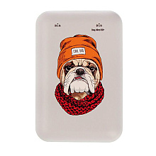 Внешний аккумулятор "Ritmix RPB-10007 BULLDOG", 10000 мА·ч