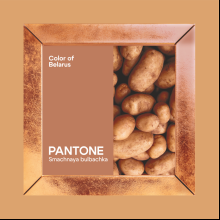 Скетчбук "Sketchmarker. Color of Belarus. Pantone Smachnaya bulbachka", 12х12 см, 140 г/м2, 80 листов, капучино