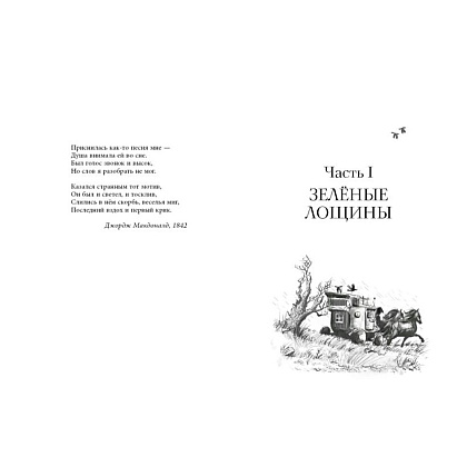 Книга "Король-волк (#4)", Эндрю Питерсон - 3