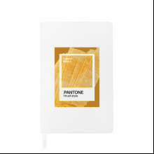 Блокнот «Color of Belarus. Pantone Hrust style», А5, 128 листов, в точку, белый, оранжевый