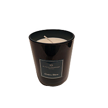 Свеча ароматическая "PLANTS&PARFUMS" Blue Cedar, 420 гр. 