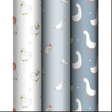 Бумага декоративная в рулоне "Goose set", 1х0.7 м, ассорти