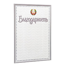 Благодарность С48, А4, 250 г/м2