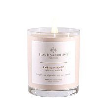 Свеча ароматическая PLANTS&PARFUMS "Intense Amber", 180 гр., подарочная упаковка