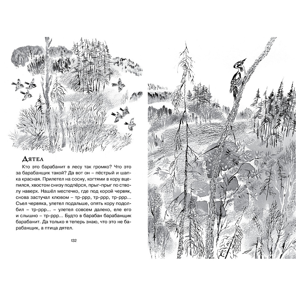 Книга "ЧЛУ. Друзья. Рассказы", Евгений Чарушин - 4