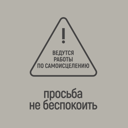Фляжка "Просьба не беспокоить", 235 мл, серебристый - 2