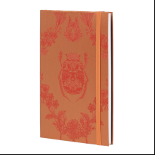 Блокнот "Lace beetle", А5, 96 листов, линейка, оранжевый