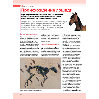 Книга "Лошади. Самая полная иллюстрированная энциклопедия", Зимина Г. - 9