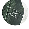 Тетрадь "Botanica банан", А4, 96 листов, клетка, зеленый - 4
