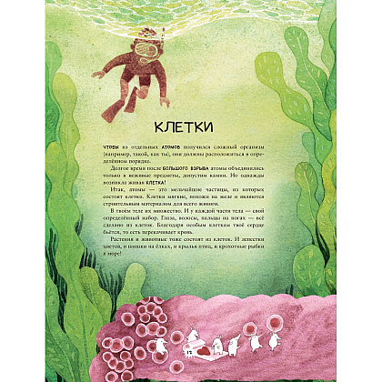 Книга "Калейдоскоп науки", Расмус Окерблум, Майя Йонссон - 6