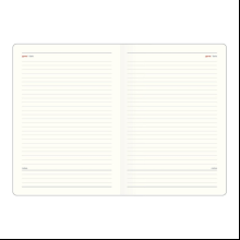 Ежедневник недатированный "Diary", А5, 320 страниц, айвори